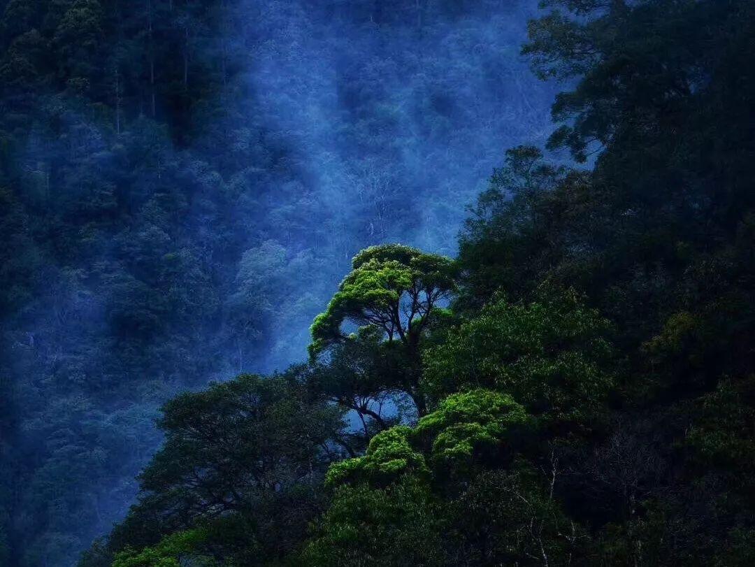 智能网联新能源汽车成为重庆汽车产业发展亮点