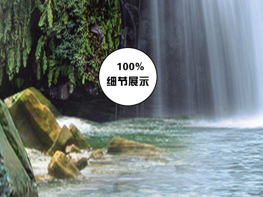 救援蝙蝠