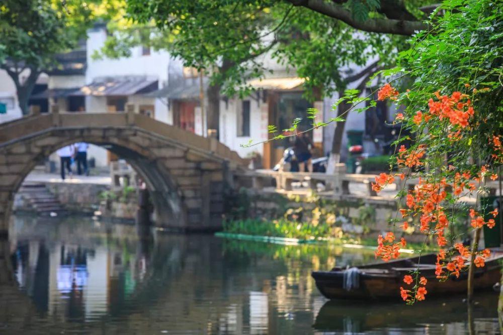 如何种植太阳花种子游戏画面